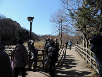 13yam180218-006s_thumb.jpg